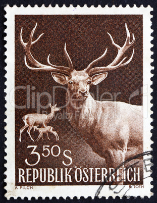 Postage stamp Austria 1959 Red Deer, Doe and Fawn