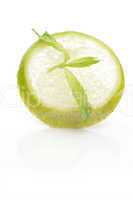 Slices of lime with a branch mint