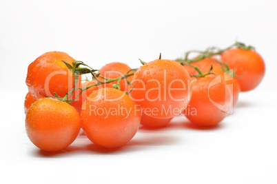 Branch with cherry tomatoes closeup