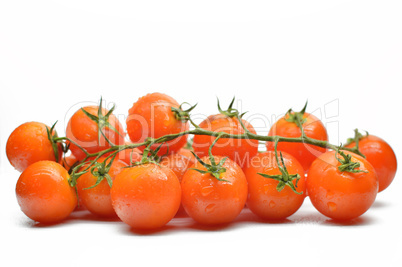 Branch with cherry tomatoes closeup