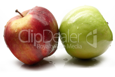 apple on a white background