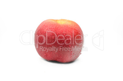 apple on a white background