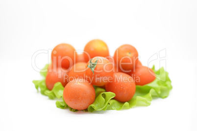 Cherry tomatoes with leaf lettuce