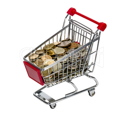 Shopping Cart with money