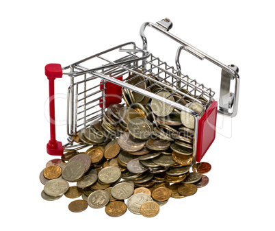 Shopping Cart with money