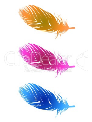 Feather