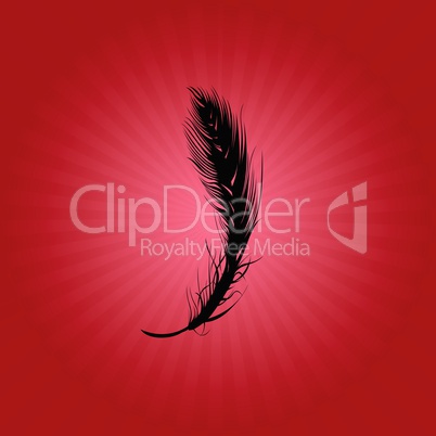 Feather