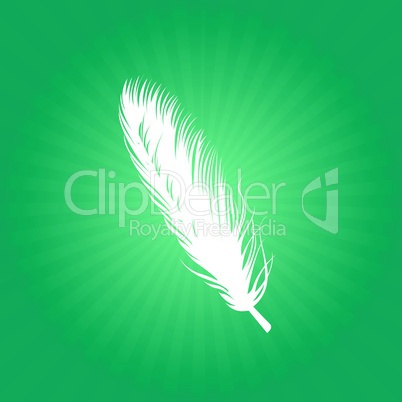 Feather