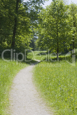 Der Weg ins Grüne Glück