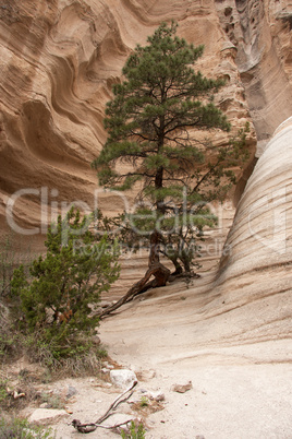 Wanderung durch Tent Rocks National Monument