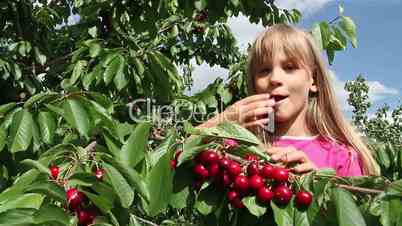 Girl tore off branches cherries