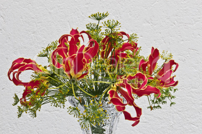 Gloriosa rothschildiana Strauß mit Dillblüten