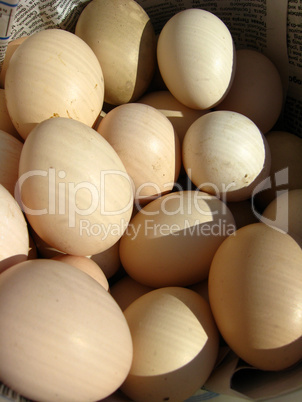 a lot of eggs of hen