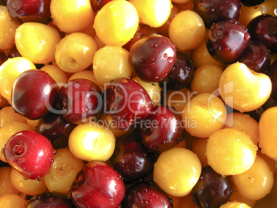 Washed berries of a sweet cherry