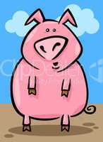 cartoon illustration of farm pig