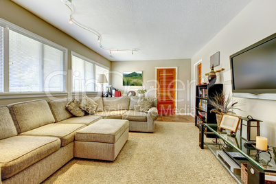 Natural colors living room with TV and large sofa.