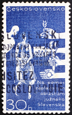 Postage stamp Czechoslovakia 1965 Danube Flood Victims