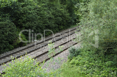 Railway Track Through Trees in Summer