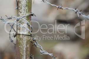 Barbed Wire on Post