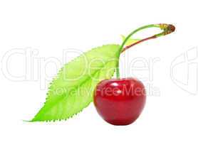 Ripe cherries with green leaves isolated on white background