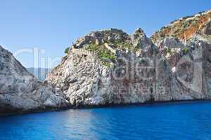 Mint at the top of the cliff. Coast Alanta. Turkey