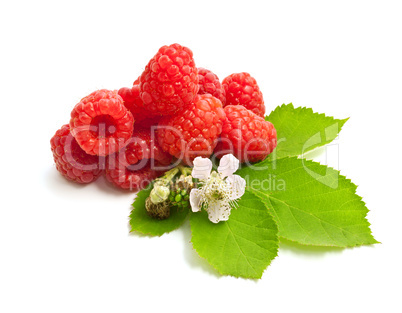 Ripe raspberry with green leaves  isolated on white background