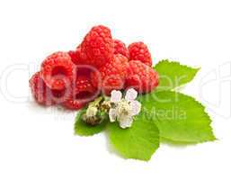 Ripe raspberry with green leaves  isolated on white background
