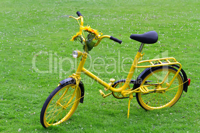 Old yellow bicycle with sunflowers.