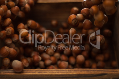 Hazelnuts in Motion Tumbling into Wooden Box