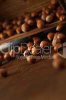 Hazelnuts in Motion Tumbling from Wooden Box