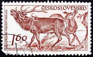 Postage stamp Czechoslovakia 1959 Red Deer, Cervus Elaphus