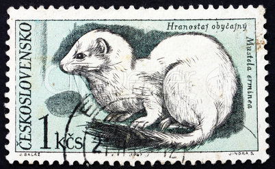 Postage stamp Czechoslovakia 1967 Ermine