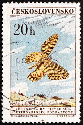 Postage stamp Czechoslovakia 1961 Southern Festoon, Butterfly