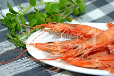 Small prawns cooked