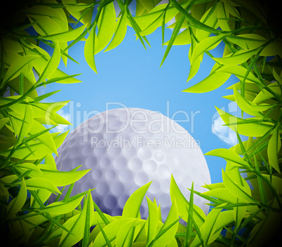 Golf ball hole