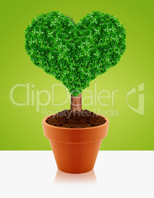 Small green tree
