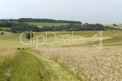 agricultural landscape in south germany