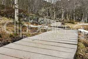 wooden foot path in rural landscape