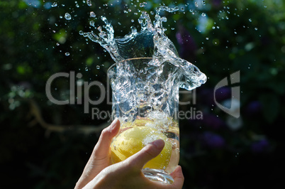 Lemons Splashing Into Water