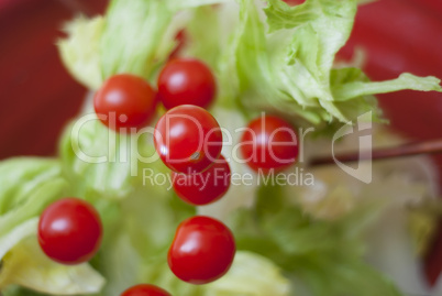 Cherry tomatoes tumbling onto lettuce