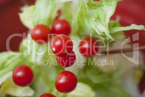 Cherry tomatoes tumbling onto lettuce