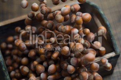 hazelnuts in motion tumbling into wooden box