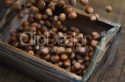 hazelnuts in motion tumbling into wooden box