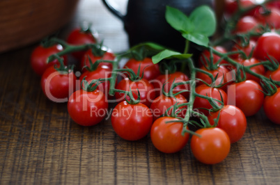 cherry tomatoes on stalks