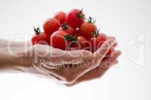 cherry tomatoes in womans hands