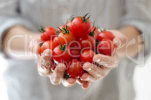 cherry tomatoes in womans hands