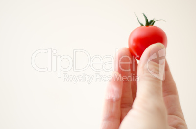cherry tomatoe in womans fingers