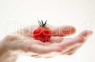 cherry tomatoe in womans hand