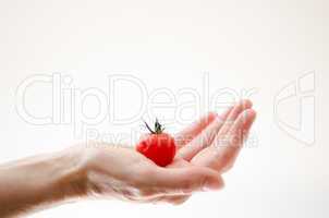 cherry tomatoe in womans hand