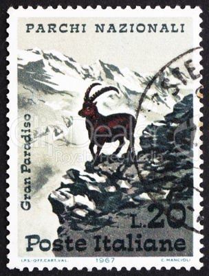 Postage stamp Italy 1967 Alpine Ibex